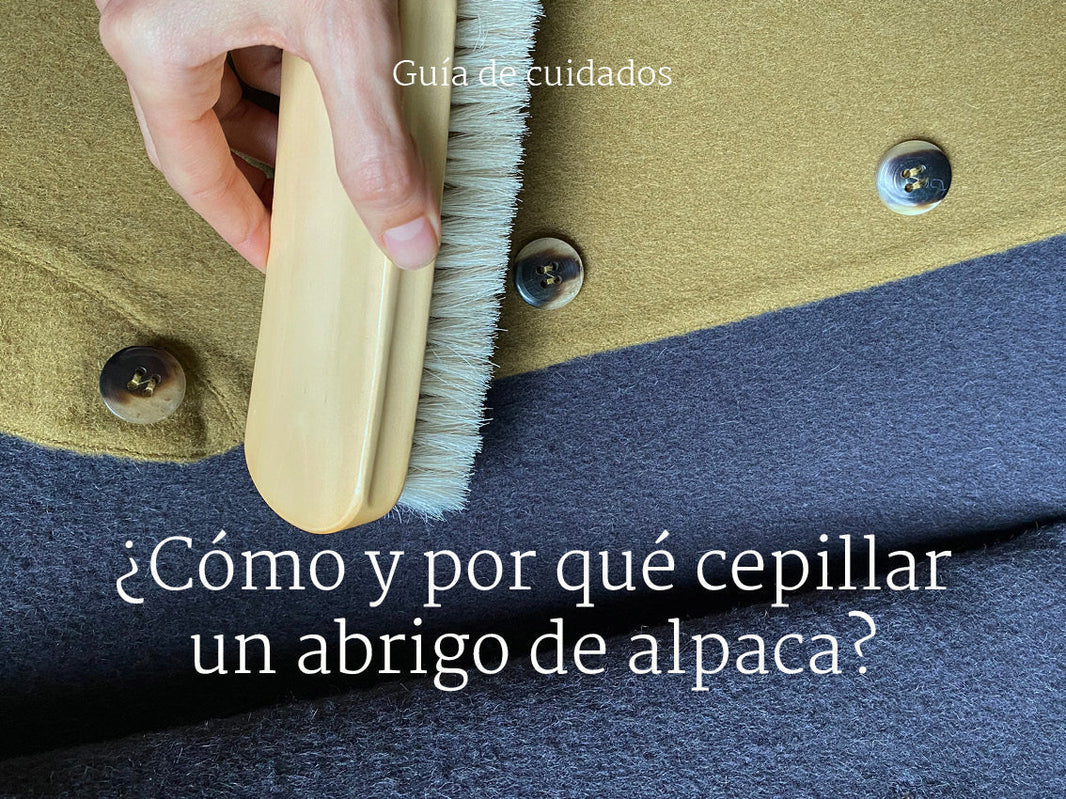 ¿Cómo y por qué cepillar un abrigo de alpaca?
