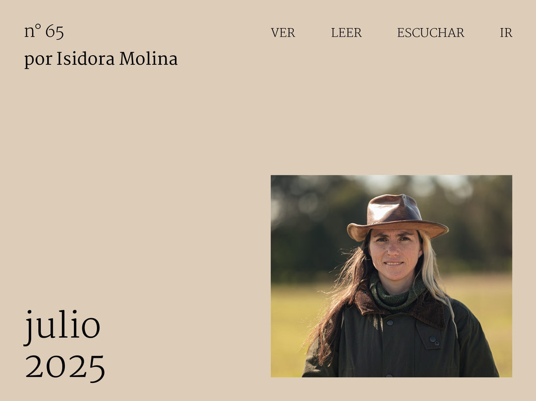 Journal SISA: Recomendaciones culturales N.65
