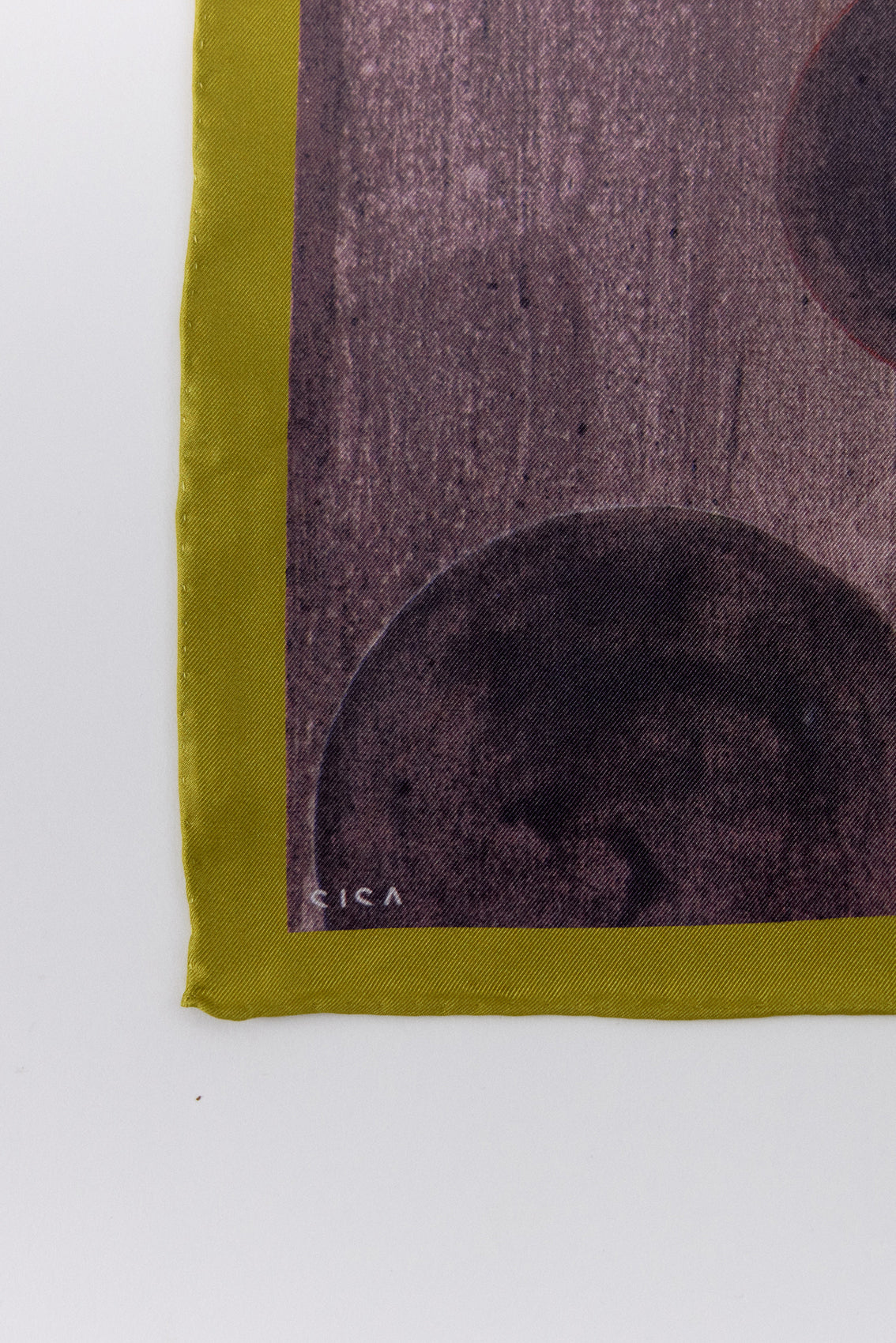 Medium Silk Printed Scarf - Paula Subercaseaux • SISA