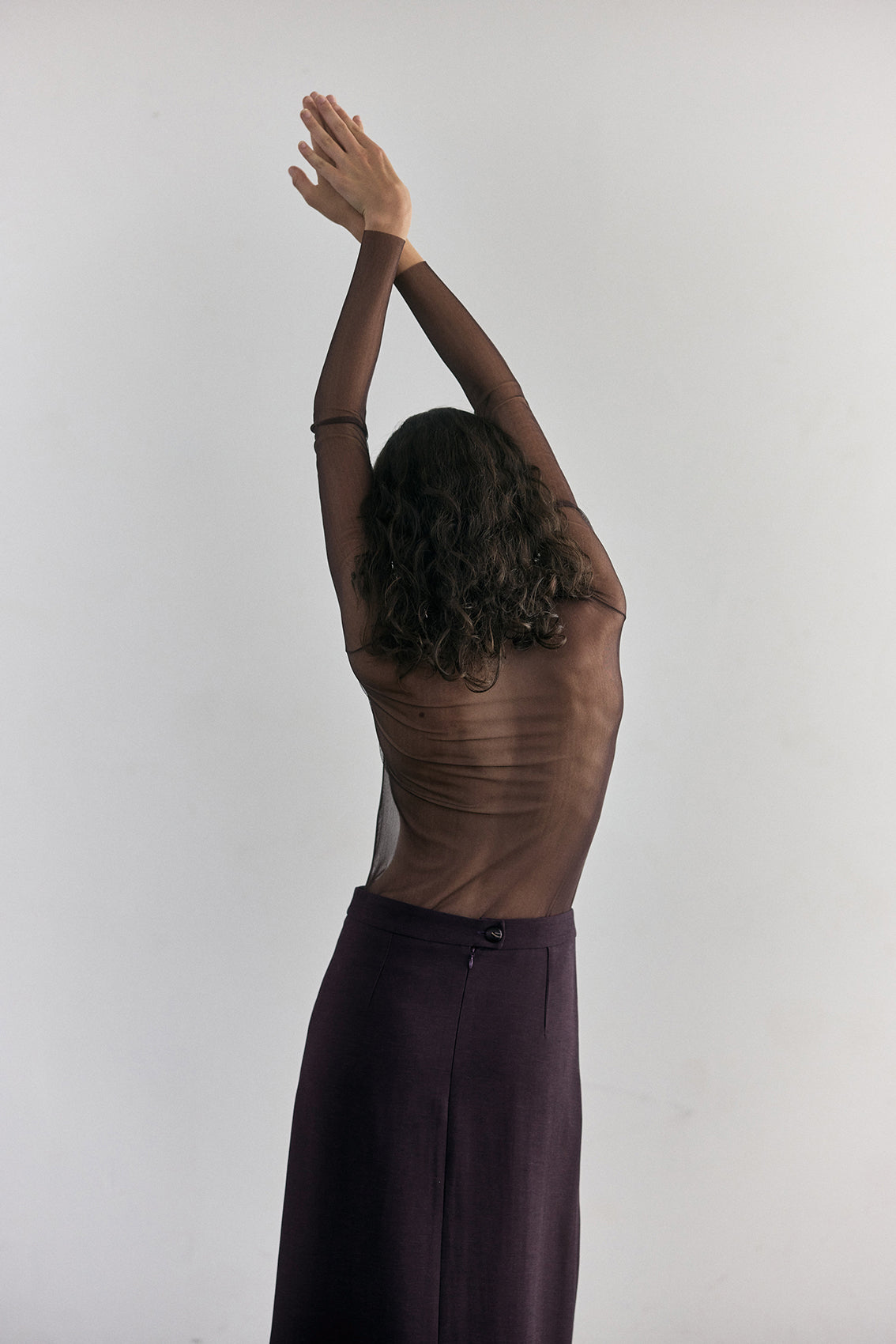 Beatle Seda Transparente - Berenjena